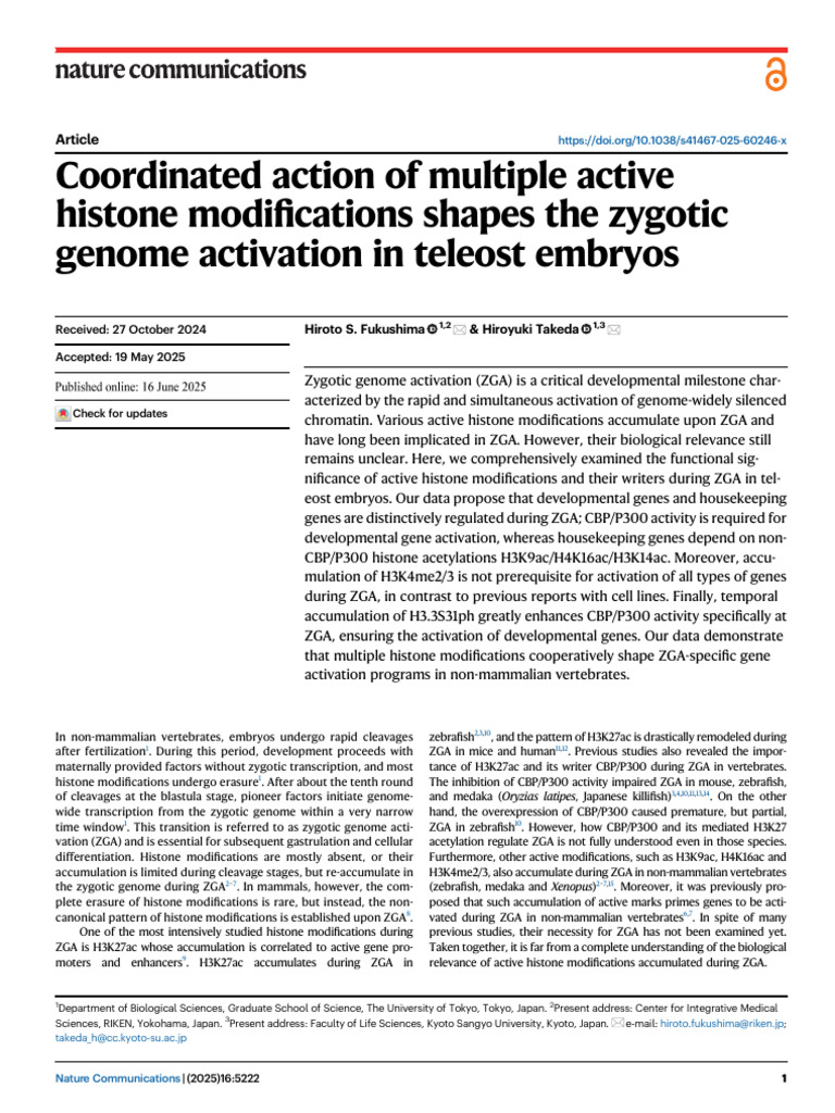 Histone Modifications in Zygotic Activation | PDF | Histone | Gene
