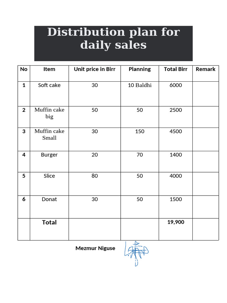 Distribution Plan For Daily Sales | PDF