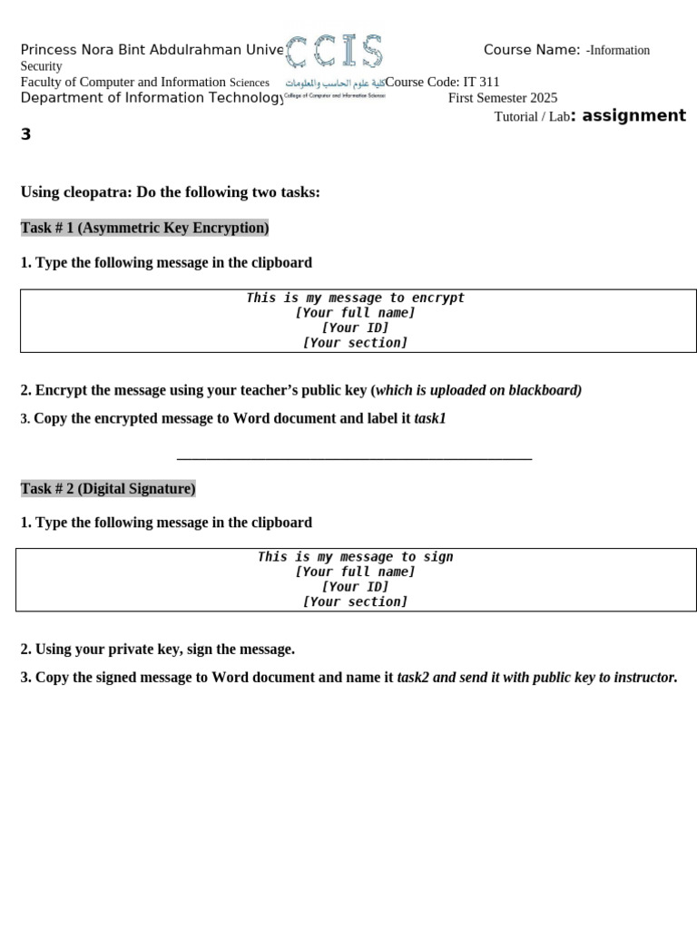 Information Security Assignment Guide | PDF