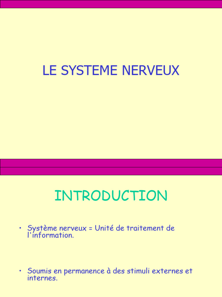 Anatomie du Système Nerveux Humain | PDF | Nerf | Moelle épinière