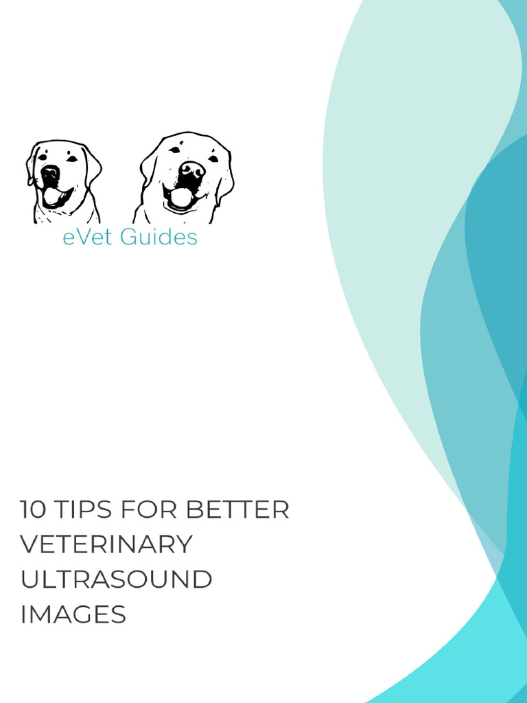 EVET 10 Tips for Better Veterinary Ultrasound Images | PDF