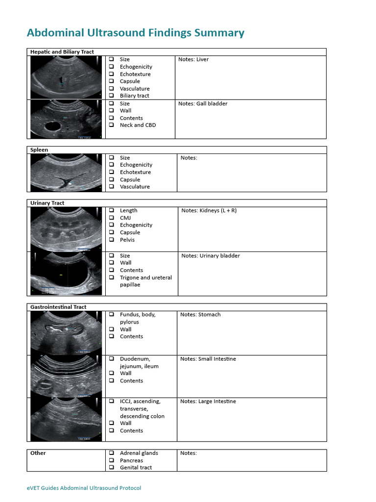 Whole Abdomen Ultrasound Guide | PDF