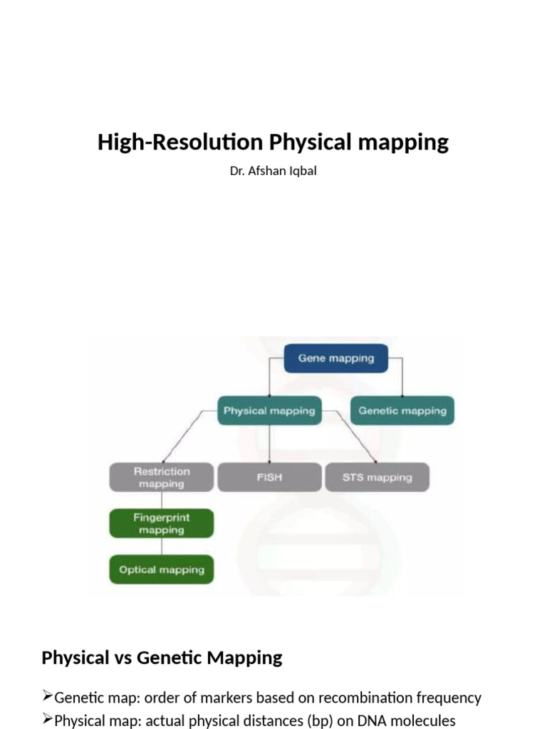 High-Resolution Physical Mapping Techniques | PDF | Fluorescence In ...