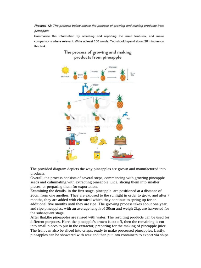 Pineapple Growth and Processing Steps | PDF