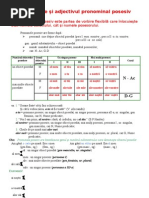 Pronumele Iadjectivulpronominalposesiv