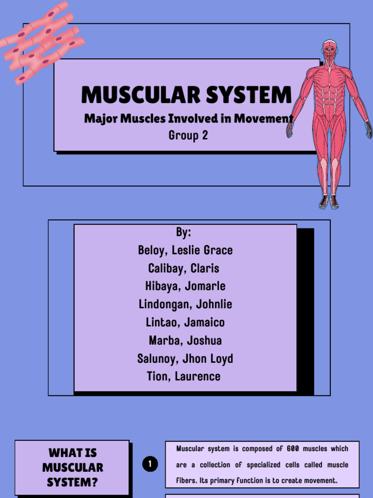 Skeletons and Muscles Educational Presentation in A Blue Purple Lined ...
