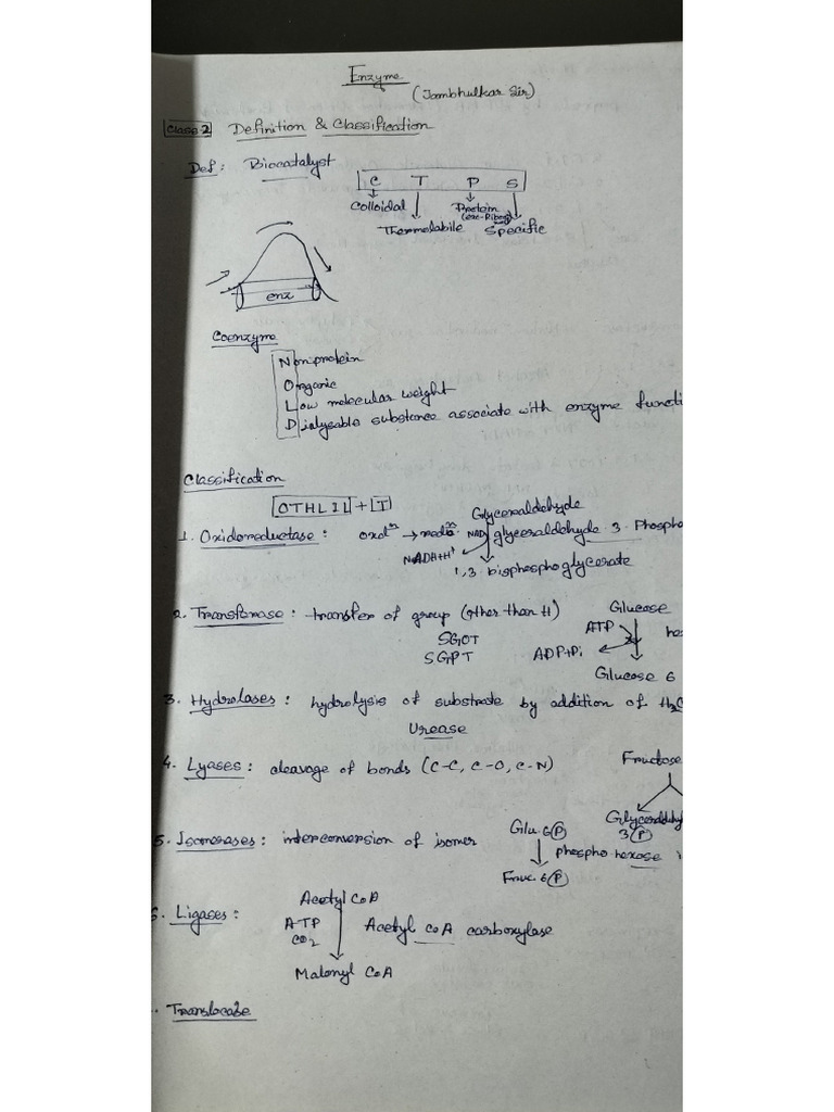 My Notes | PDF