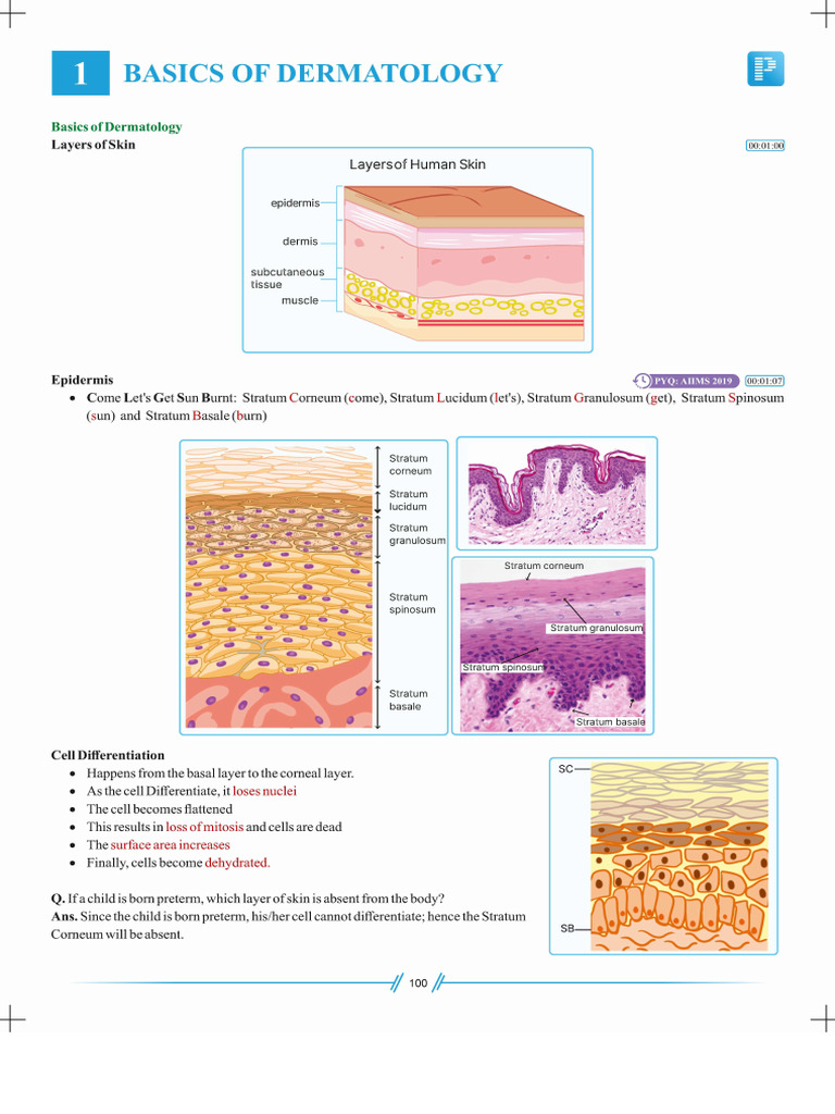 Dermatology | PDF