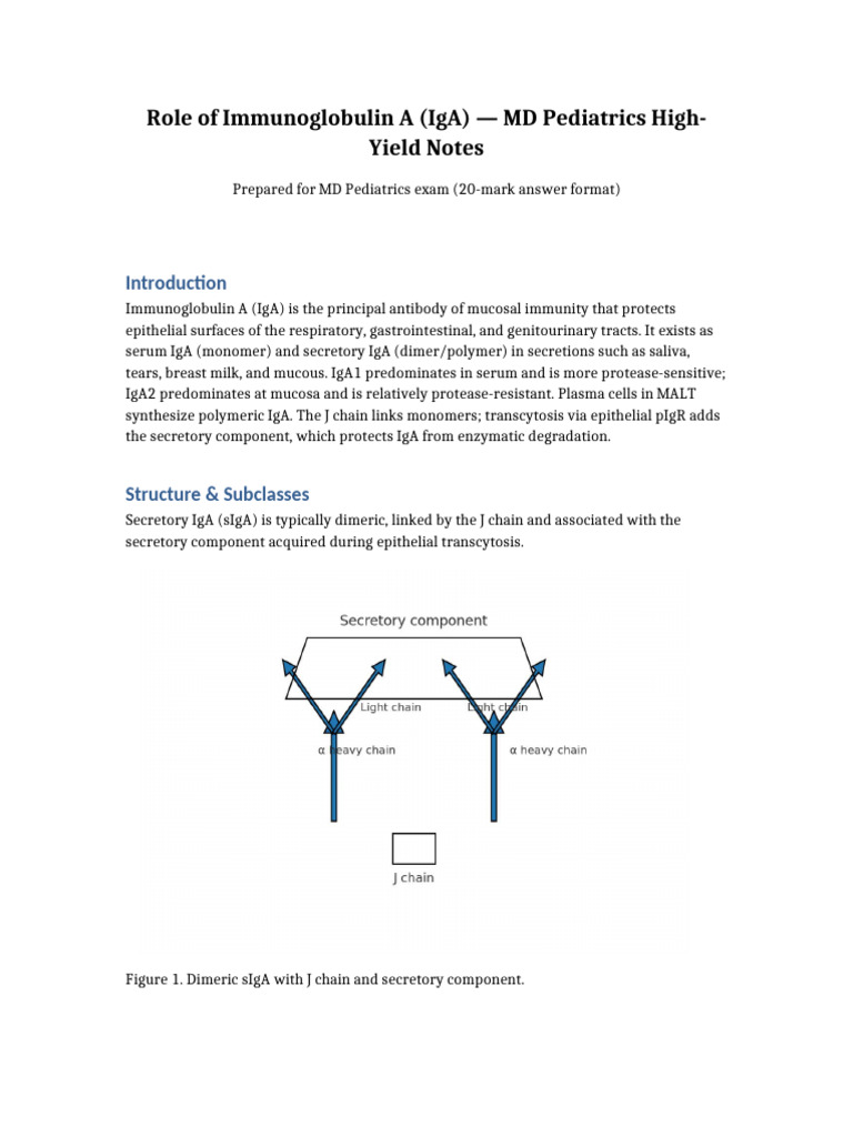 Understanding Immunoglobulin A (IgA) in Pediatrics | PDF | Immunology ...