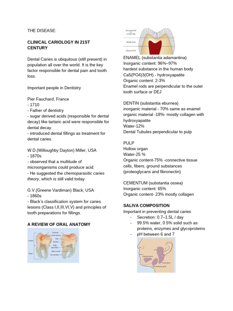 Complete Cariology Reviewer | PDF | Human Tooth | Tooth Enamel