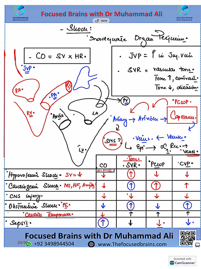 Shock Notes | PDF