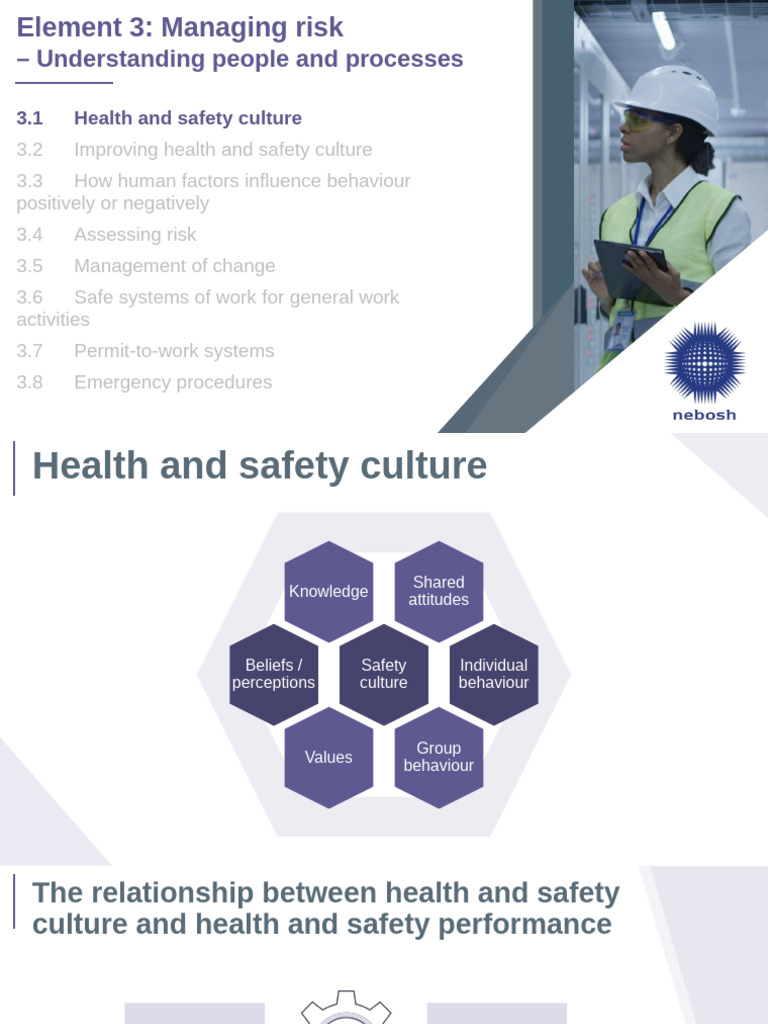 Managing Health and Safety Culture | PDF | Occupational Safety And ...
