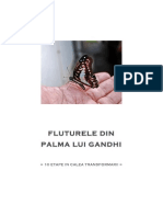 Fluturele Din Palma Lui Gandhi v2