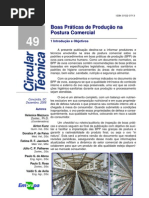 Boas Praticas Postura