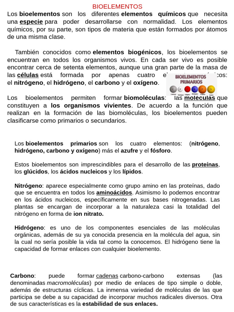Bioelementos: Clave para la Vida | PDF | Organismos | Biomoléculas