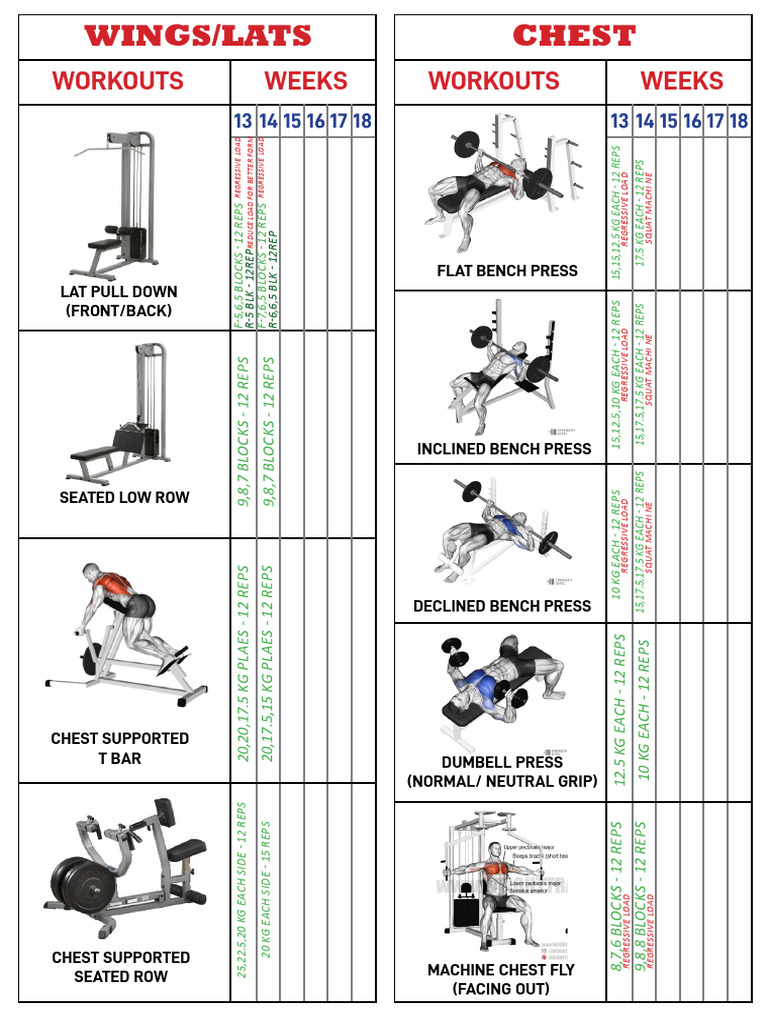 Comprehensive Workout Plan Guide | PDF | Weight Training