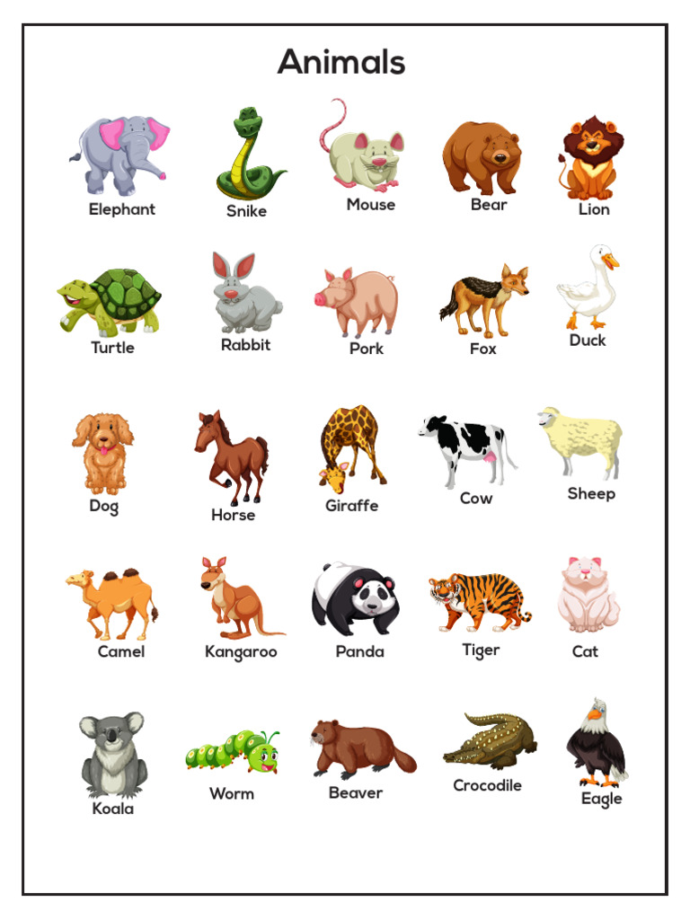 Animals | PDF