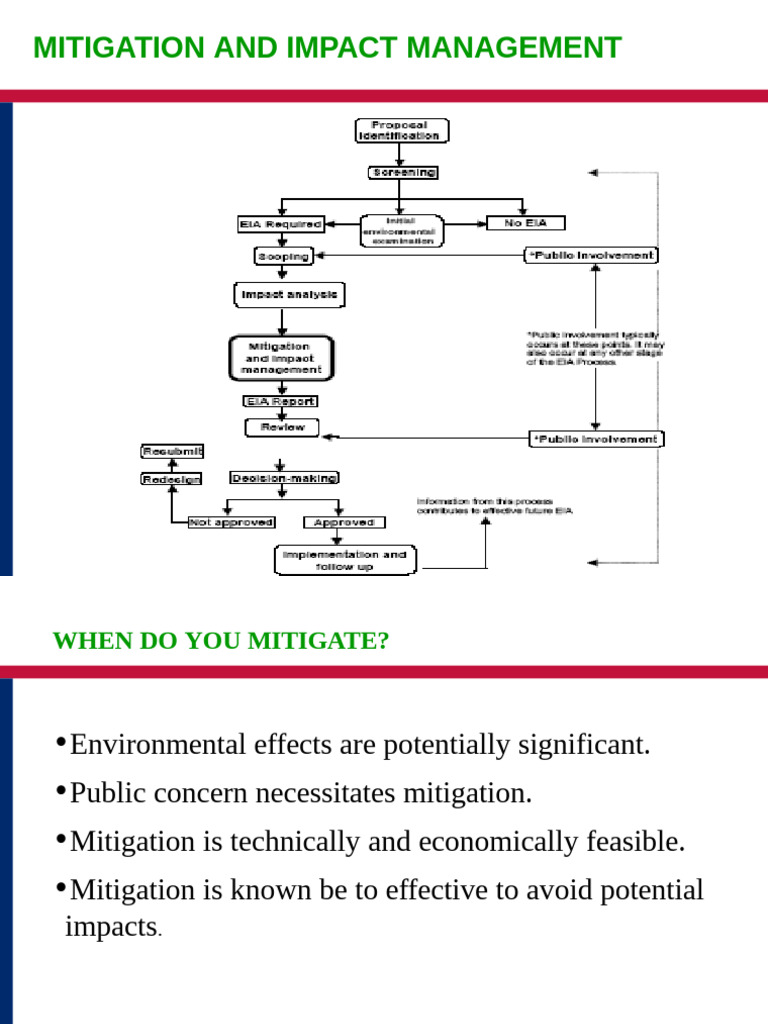 Mitigation and Impact Management Strategies | PDF | Natural Environment