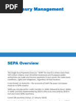 FNB Global Payments and BoP Codes Guide | PDF | Payments | Receipt