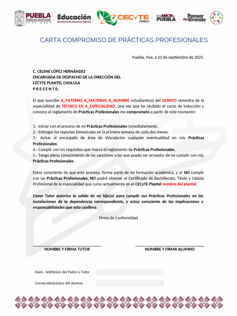 Carta Compromiso Prácticas Profesionales | PDF