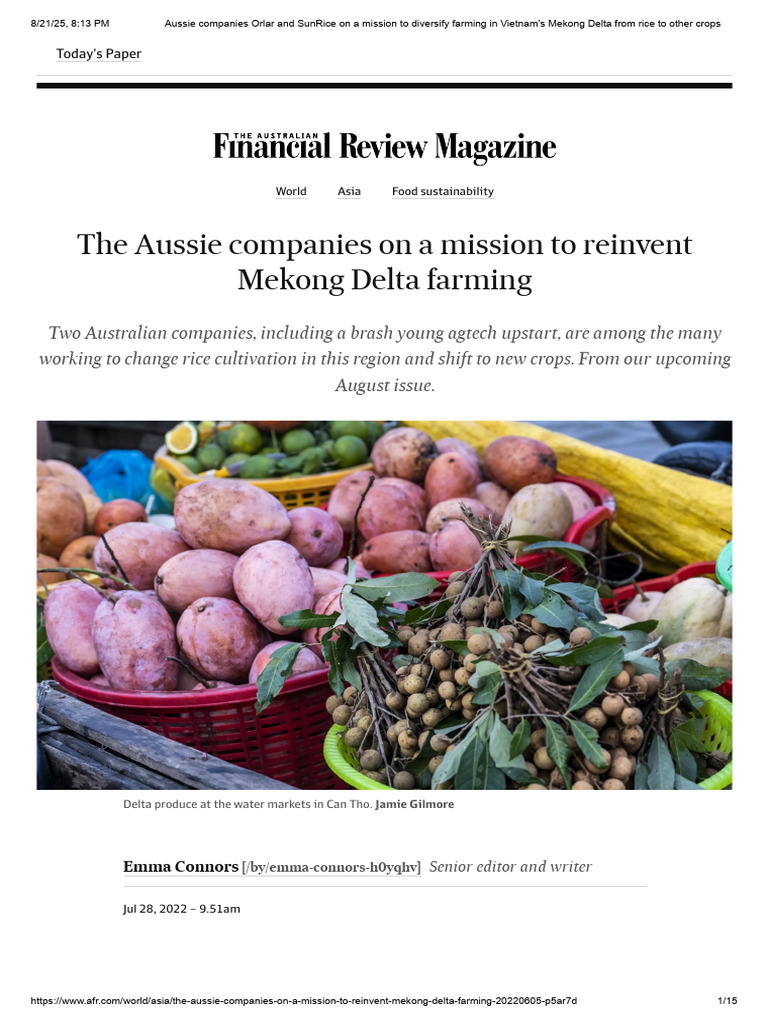 SunRice's Role in Vietnam's Rice Shift | PDF | Agriculture | Mekong