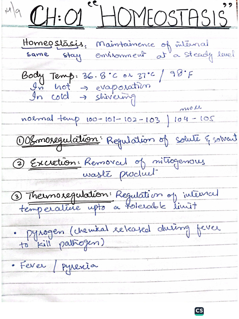 Homeostasis Notes by Îs | PDF
