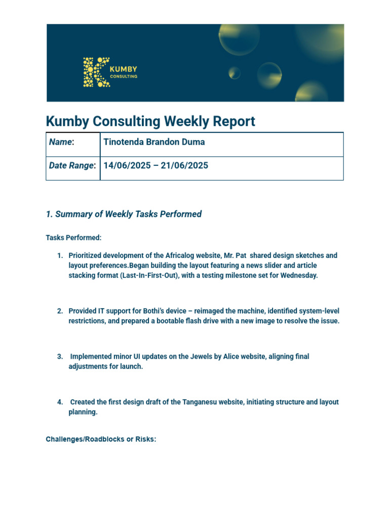 Tinotenda Brandon Duma Report 14-06-2025 - 21-06-2025 | PDF