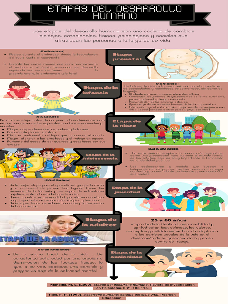 Etapas del Desarrollo Humano | PDF | Adultos | El embarazo