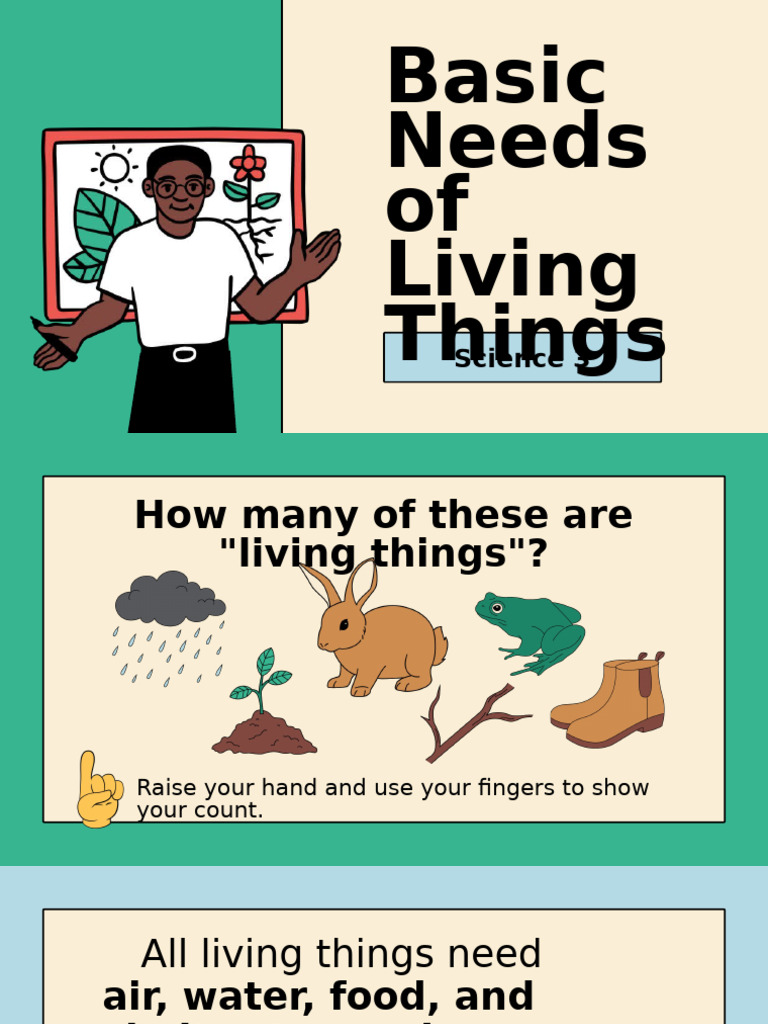 Basic Needs of Living Things for Grade 3 | PDF | Foods | Plants