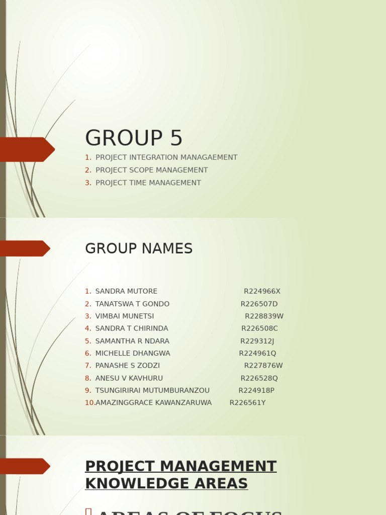 Project Integration Management in Social Work | PDF | Social Work ...