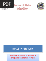 Stallion Penis Anatomy and Function | PDF | Reproduction | Sexual Anatomy