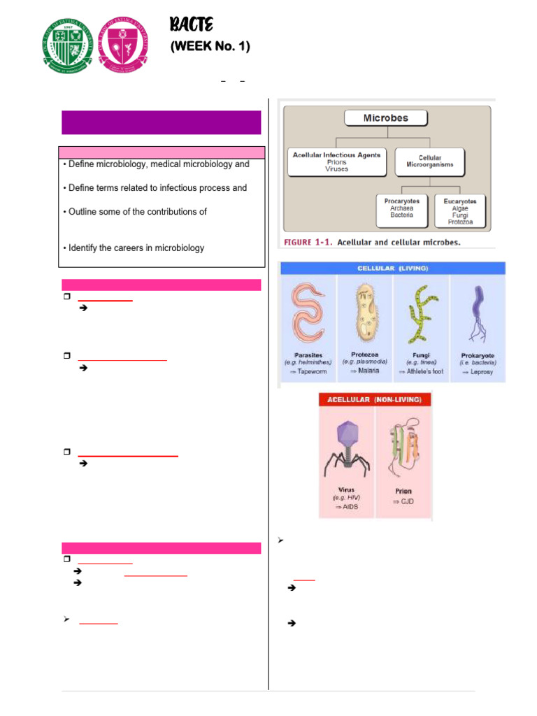 Diagnosing Glanders in Birds | PDF | Infection | Microbiology