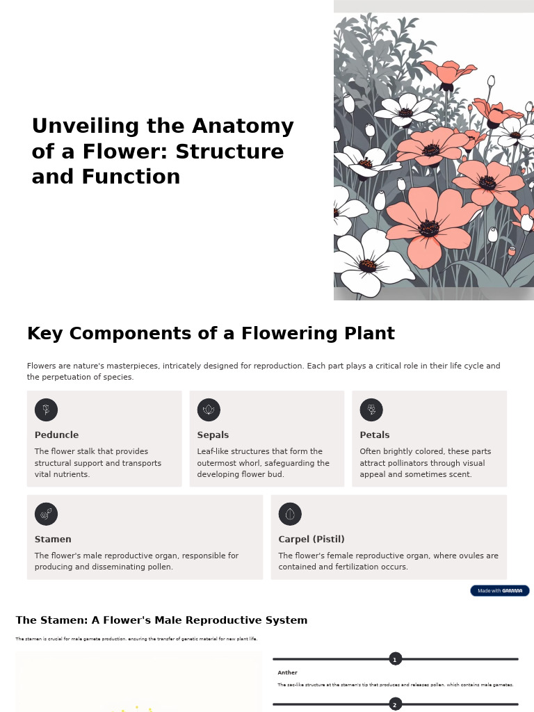 Unveiling The Anatomy of A Flower Structure and Function | PDF ...