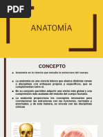 Estructura del Cráneo: Endobase y Exobase | PDF | Otorrinolaringología ...