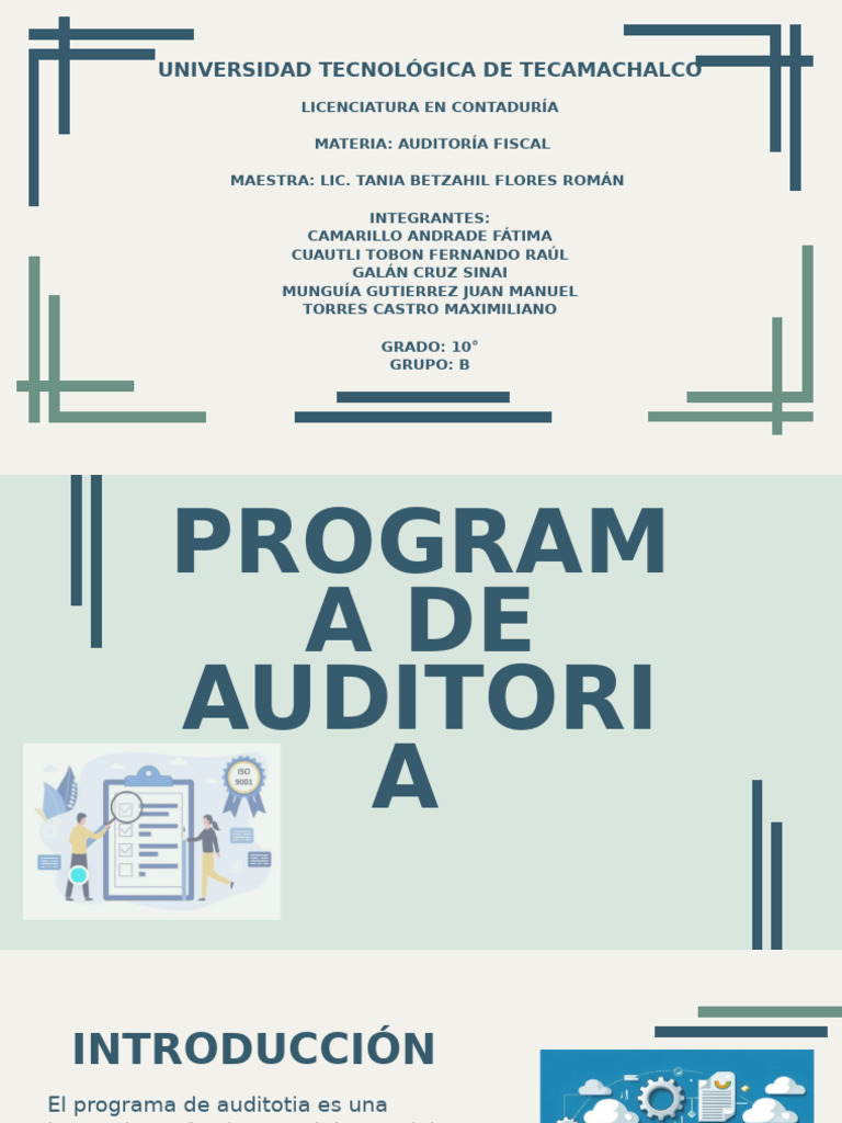 Programa de Auditoria | PDF | Auditoría | Business