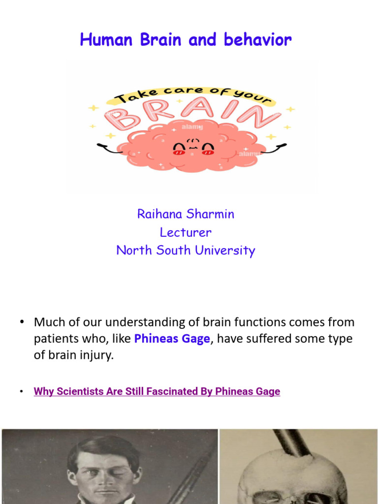 Understanding Brain Function and Behavior | PDF | Neuron | Axon