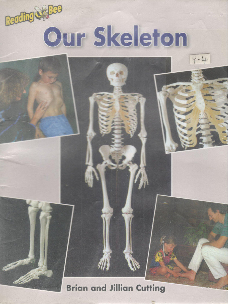 Our Skeleton | PDF