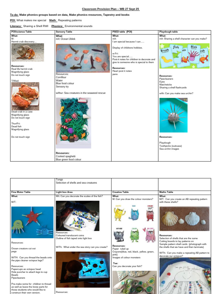 WK 6 Provision Plan - Sharing A Shell w2 | PDF
