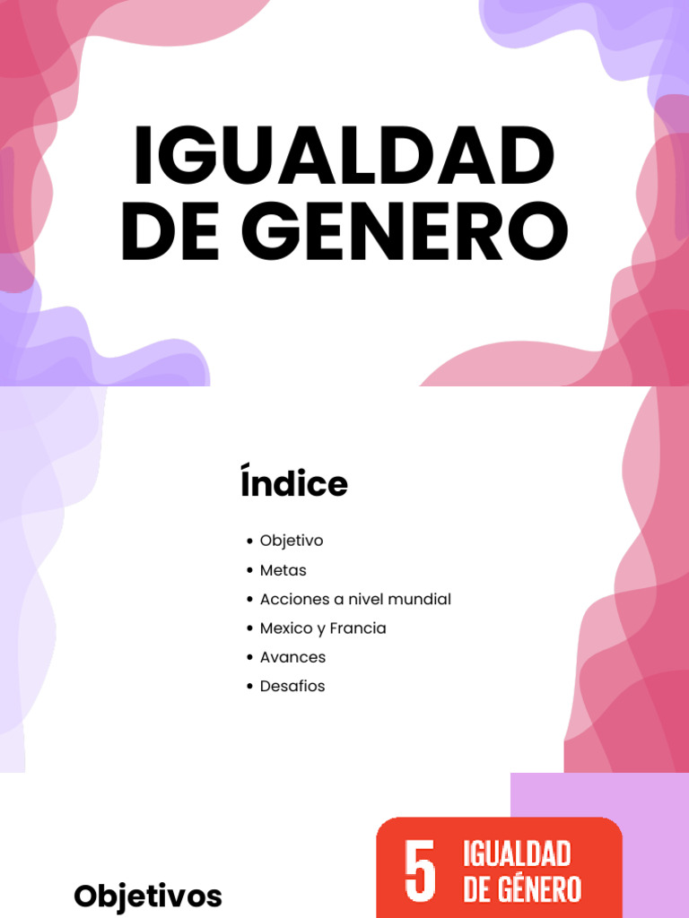 Igualdad de Género: Avances y Desafíos | PDF | Estudios de género ...