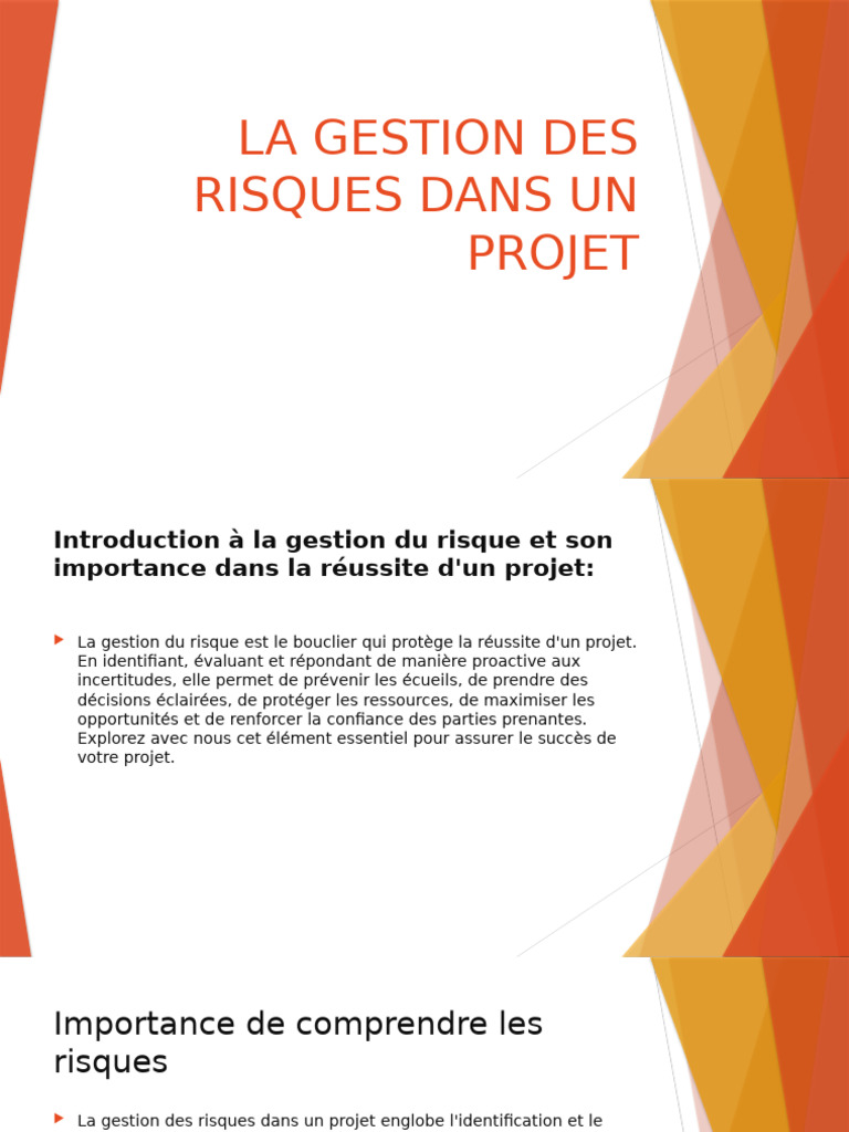 Gestion des Risques dans un Projet | PDF | Gestion des risques | Risque