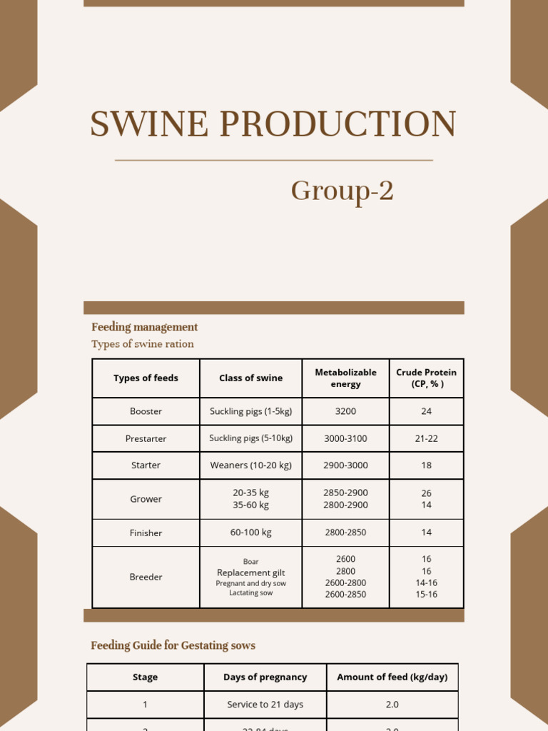 Swine Production Feeding and Management Guide | PDF | Pig | Medical ...