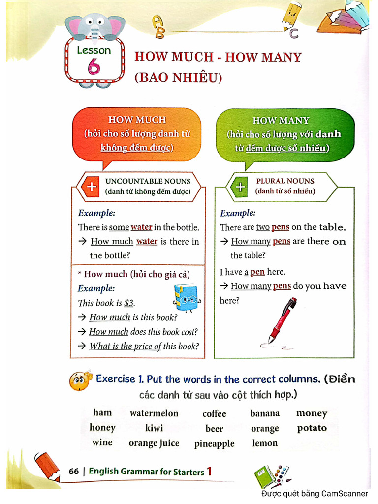 How Much & How Many | PDF