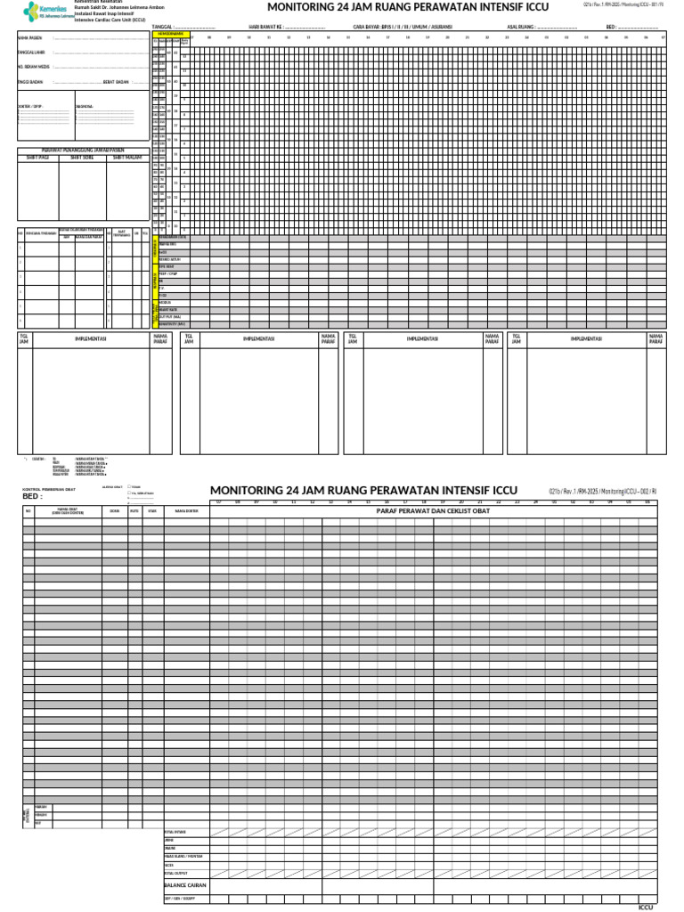 ICCU 24-Hour Patient Monitoring Form | PDF