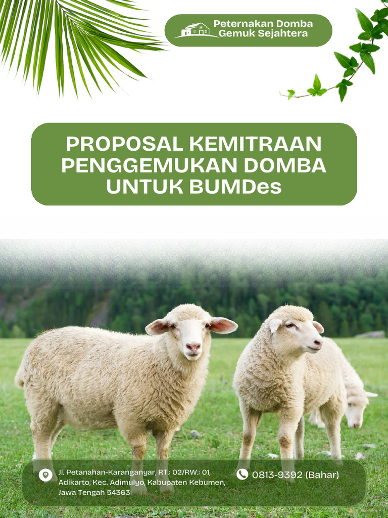 Kemitraan Penggemukan Domba BUMDes | PDF