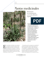 Interacciones entre plantas medicinales y otros fármacos