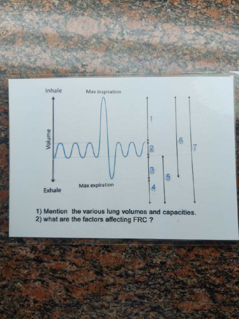 Charts For Practical's | PDF