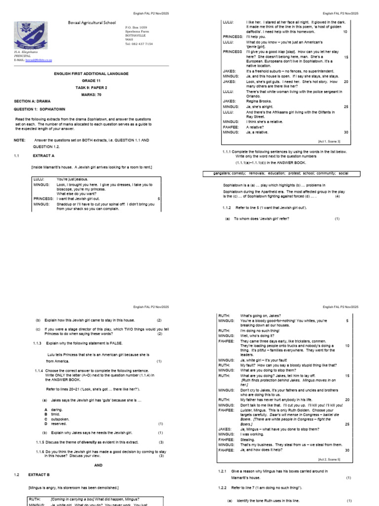 Grade 11 English Paper 2 Nov 2025 | PDF