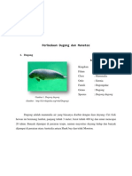 Perbedaan Dugong Dan Manatee