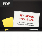 Comprendre le syndrome pyramidal | PDF | Cervelet | Système nerveux