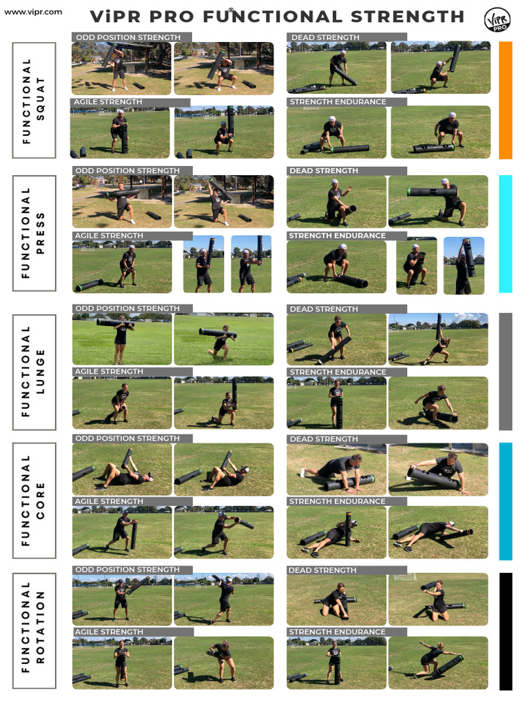 ViPR Exercises for Functional Strength | PDF